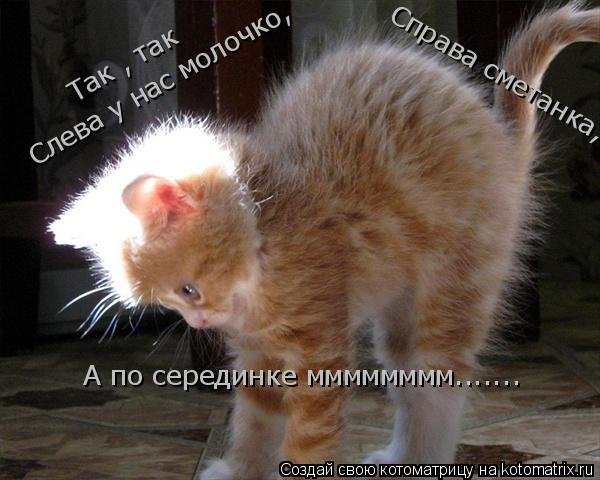 Так , так Слева у нас молочко, Слева у нас молочко, Справа сметанка, А по серединке мммммммм.......... Котоматрица: Так , так Слева у нас молочко, Слева у нас молочко, Справа сметанка, А по серединке мммммммм.......