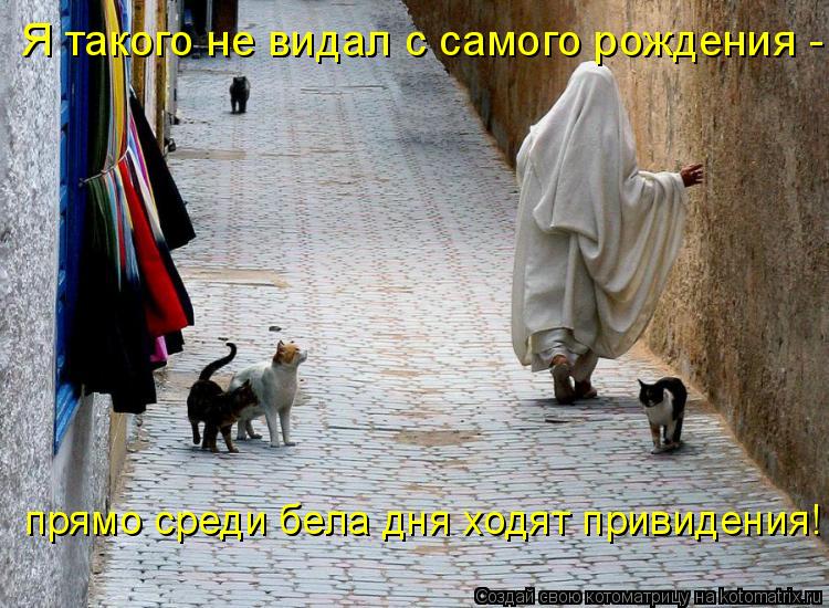 Котоматрица: Я такого не видал с самого рождения -  прямо среди бела дня ходят привидения!