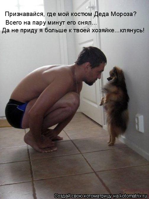 Признавайся, где мой костюм Деда Мороза? Всего на пару минут его снял... Да не приду я больше к твоей... Котоматрица: Признавайся, где мой костюм Деда Мороза? Всего на пару минут его снял... Да не приду я больше к твоей хозяйке...клянусь!