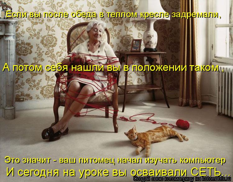 Это значит - ваш питомец начал изучать компьютер И сегодня на уроке вы осваивали СЕТЬ... А потом себя... Котоматрица: Это значит - ваш питомец начал изучать компьютер И сегодня на уроке вы осваивали СЕТЬ... А потом себя нашли вы в положении таком , Если вы пос