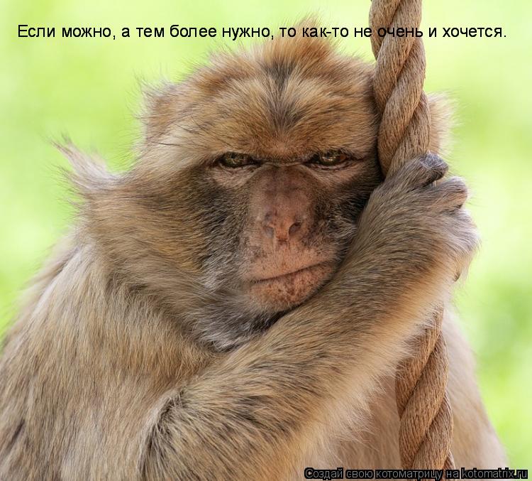 Если можно, а тем более нужно, то как-то не очень и хочется. Если можно, а тем более нужно, то как-то... Котоматрица: Если можно, а тем более нужно, то как-то не очень и хочется. Если можно, а тем более нужно, то как-то не очень и хочется.