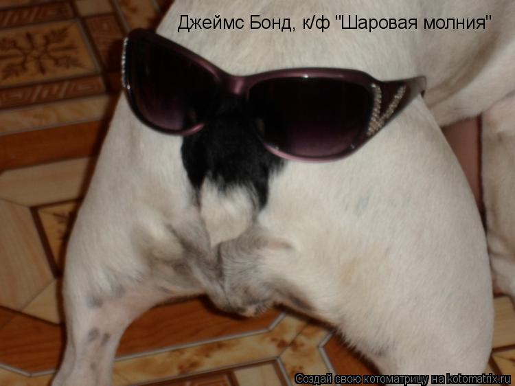 Джеймс Бонд, к/ф "Шаровая молния"... Котоматрица: Джеймс Бонд, к/ф "Шаровая молния"