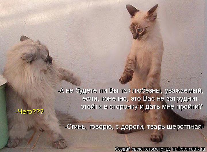 -Чего??? -А не будете ли Вы так любезны, уважаемый, если, конечно, это Вас не затруднит, отойти в с... Котоматрица: -Чего??? -А не будете ли Вы так любезны, уважаемый, если, конечно, это Вас не затруднит, отойти в сторонку и дать мне пройти? -Сгинь, говорю, с до