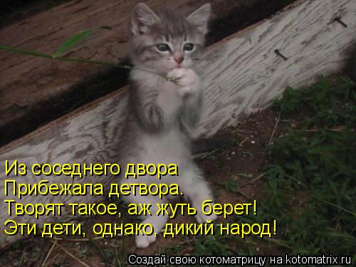 Из соседнего двора Прибежала детвора. Творят такое, аж жуть берет! Эти дети, однако, дикий народ!... Котоматрица: Из соседнего двора Прибежала детвора. Творят такое, аж жуть берет! Эти дети, однако, дикий народ!