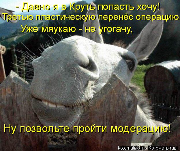 - Давно я в Круть попасть хочу! Третью пластическую перенёс операцию. Уже мяукаю - не угогачу, Ну поз... Котоматрица: - Давно я в Круть попасть хочу! Третью пластическую перенёс операцию. Уже мяукаю - не угогачу, Ну позвольте пройти модерацию!