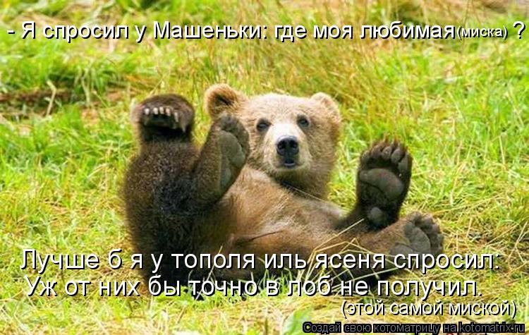 (миска) Уж от них бы точно в лоб не получил. Лучше б я у тополя иль ясеня спросил: (этой самой миской... Котоматрица: (миска) Уж от них бы точно в лоб не получил. Лучше б я у тополя иль ясеня спросил: (этой самой миской) - Я спросил у Машеньки: где моя любимая