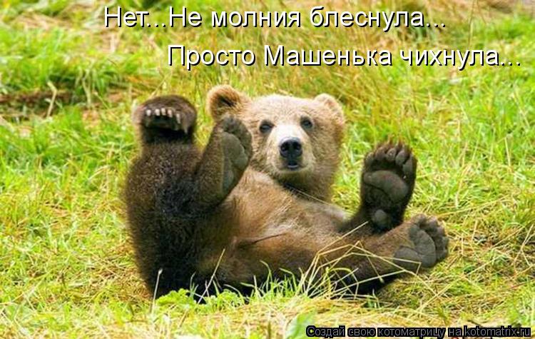 Котоматрица: Нет...Не молния блеснула... Просто Машенька чихнула...