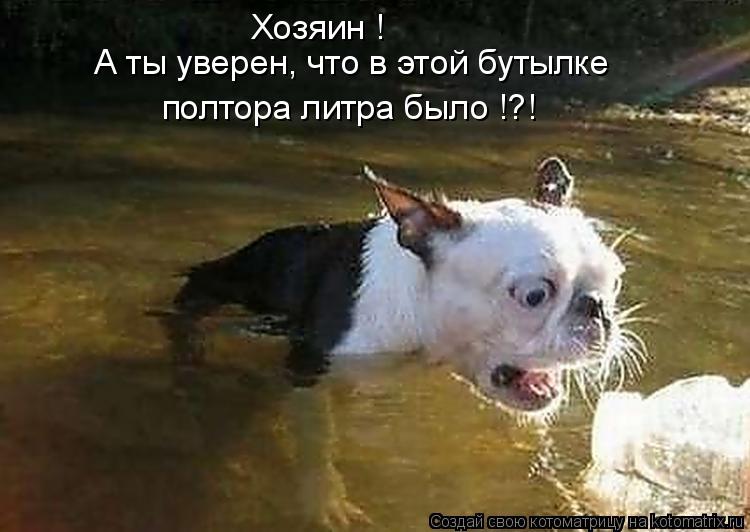 Котоматрица: Хозяин ! А ты уверен, что в этой бутылке полтора литра было !?!