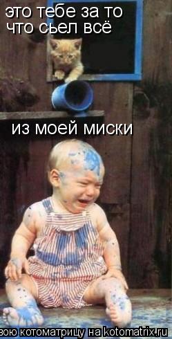 Котоматрица: это тебе за то  что сьел всё  из моей миски