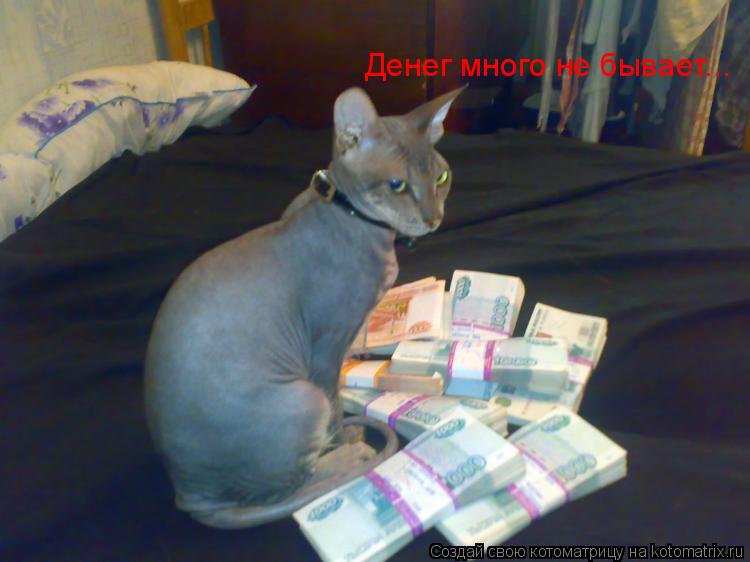 Котоматрица: Денег много не бывает...