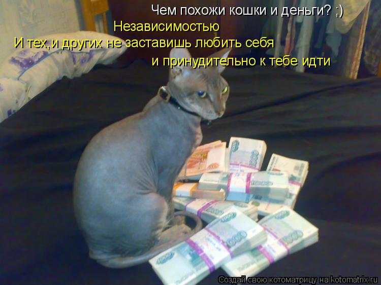 Котоматрица: Чем похожи кошки и деньги? ;) Независимостью  И тех,и других не заставишь любить себя  и принудительно к тебе идти