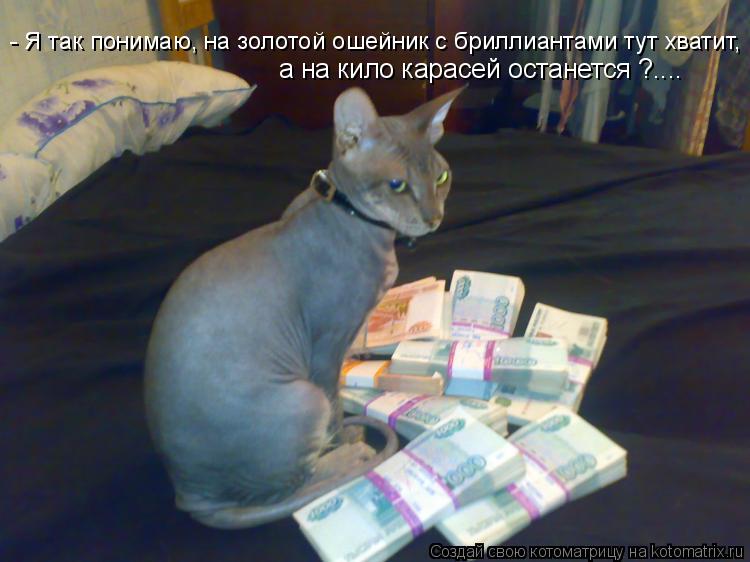 Котоматрица: - Я так понимаю, на золотой ошейник с бриллиантами тут хватит, а на кило карасей останется ?....