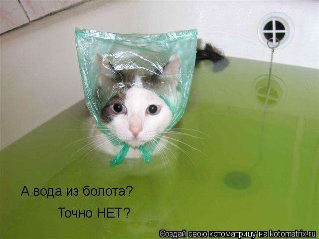 Котоматрица: А вода из болота? Точно НЕТ?