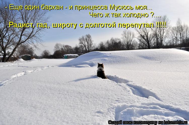 Котоматрица: - Еще один бархан - и принцесса Мусюсь моя... Чего ж так холодно ?....  Радист, гад, широту с долготой перепутал !!!!!