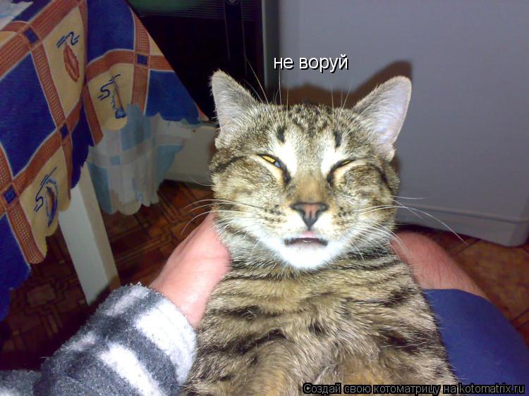 не воруй... Котоматрица: не воруй
