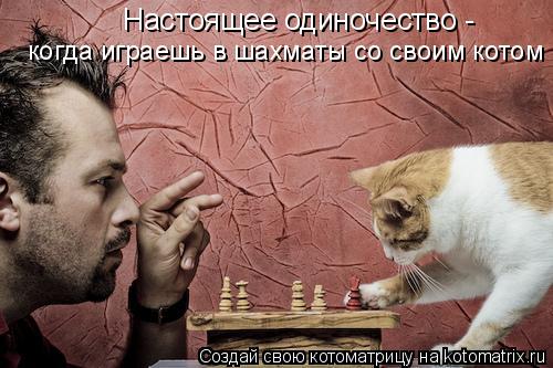 Настоящее одиночество - когда играешь в шахматы со своим котом... Котоматрица: Настоящее одиночество - когда играешь в шахматы со своим котом