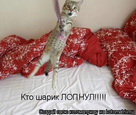 Кто шарик ЛОПНУЛ!!!!!... Котоматрица: Кто шарик ЛОПНУЛ!!!!!
