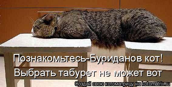 Познакомьтесь-Буриданов кот! Выбрать табурет не может вот... Котоматрица: Познакомьтесь-Буриданов кот! Выбрать табурет не может вот