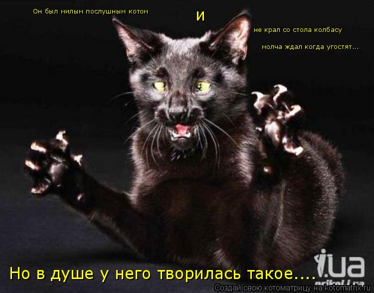 Он был милым послушным котом не крал со стола колбасу Но в душе у него творилась такое.... и молча жд... Котоматрица: Он был милым послушным котом не крал со стола колбасу Но в душе у него творилась такое.... и молча ждал когда угостят...