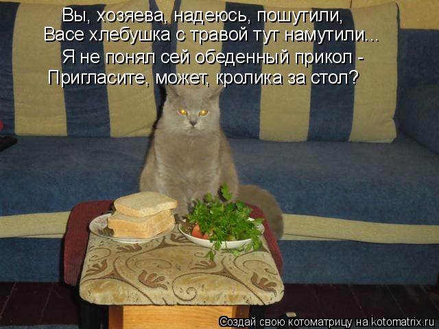 Вы, хозяева, надеюсь, пошутили, Я не понял сей обеденный прикол - Васе хлебушка с травой тут намутил... Котоматрица: Вы, хозяева, надеюсь, пошутили, Я не понял сей обеденный прикол - Васе хлебушка с травой тут намутили... Пригласите, может, кролика за стол?
