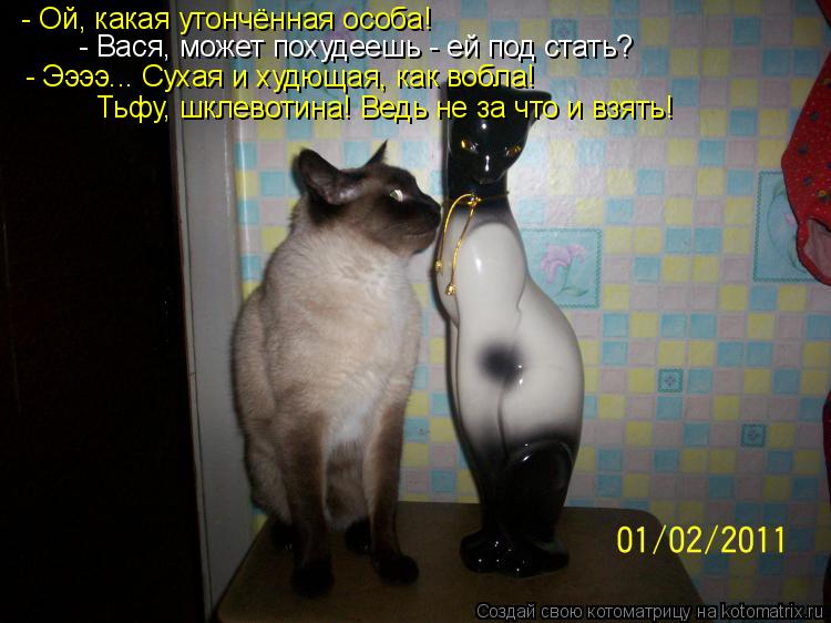 - Ой, какая утончённая особа! - Вася, может похудеешь - ей под стать? - Ээээ... Сухая и худющая, как ... Котоматрица: - Ой, какая утончённая особа! - Вася, может похудеешь - ей под стать? - Ээээ... Сухая и худющая, как вобла! Тьфу, шклевотина! Ведь не за что и взять