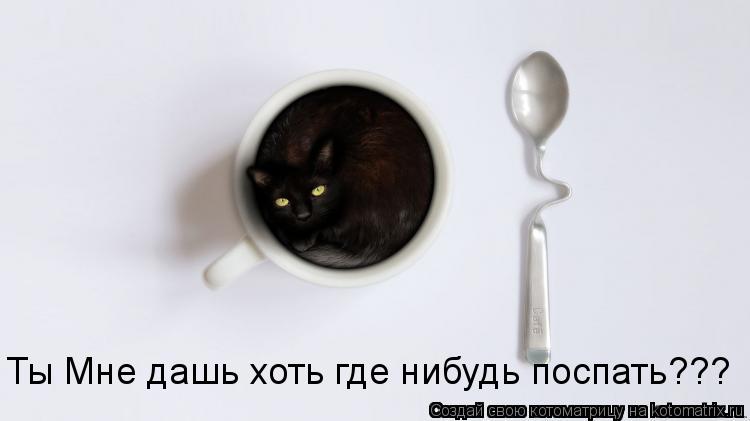 Котоматрица: Ты Мне дашь хоть где нибудь поспать???