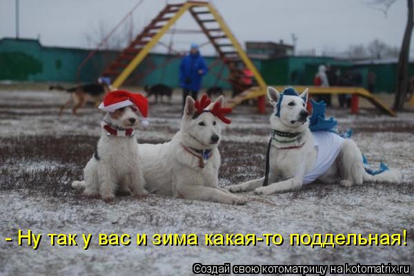 Котоматрица: - Ну так у вас и зима какая-то поддельная!