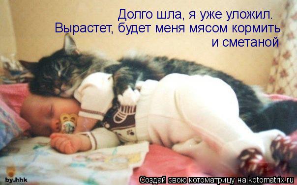 Котоматрица: Вырастет, будет меня мясом кормить и сметаной Долго шла, я уже уложил.