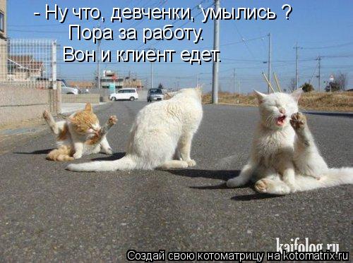 - Ну что, девченки, умылись ? Пора за работу. Вон и клиент едет.... Котоматрица: - Ну что, девченки, умылись ? Пора за работу. Вон и клиент едет.