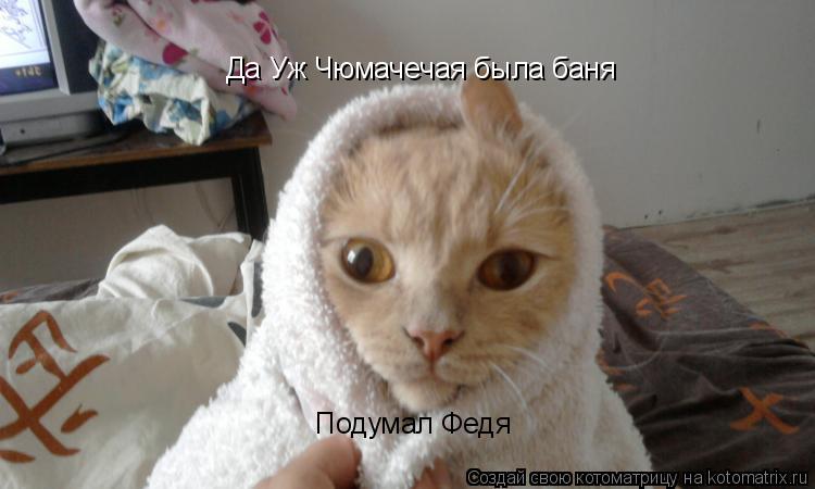 Да Уж Чюмачечая была баня Подумал Федя... Котоматрица: Да Уж Чюмачечая была баня Подумал Федя