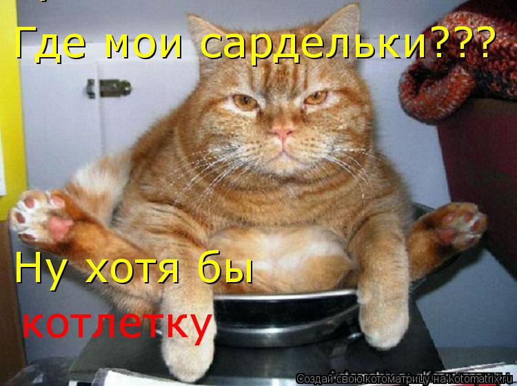 Где мои сардельки??? Ну хотя бы Ну хотя бы котлетку котлетку... Котоматрица: Где мои сардельки??? Ну хотя бы Ну хотя бы котлетку котлетку