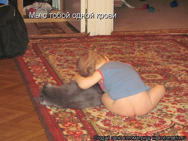Мы с тобой одной крови... Котоматрица: Мы с тобой одной крови