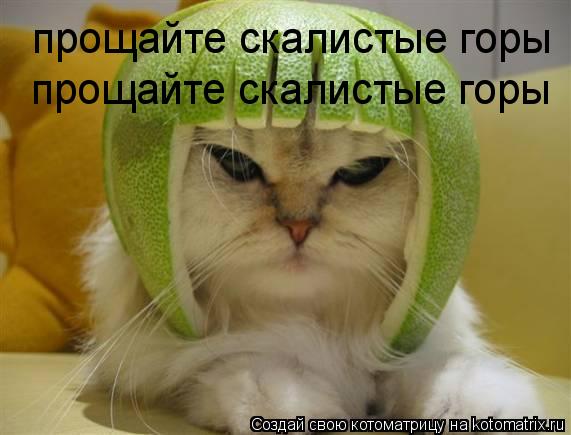прощайте скалистые горы прощайте скалистые горы... Котоматрица: прощайте скалистые горы прощайте скалистые горы