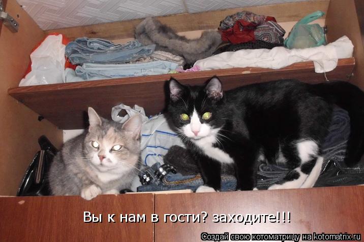 Вы к нам в гости? заходите!!!... Котоматрица: Вы к нам в гости? заходите!!!