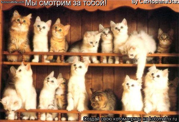 Мы смотрим за тобой! By CatHoshinaUtau... Котоматрица: Мы смотрим за тобой! By CatHoshinaUtau
