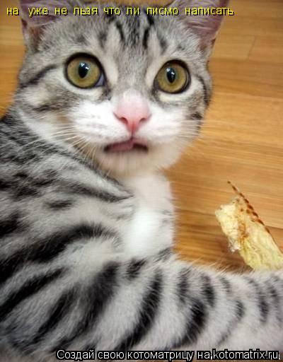 на уже не льзя что ли писмо написать... Котоматрица: на уже не льзя что ли писмо написать