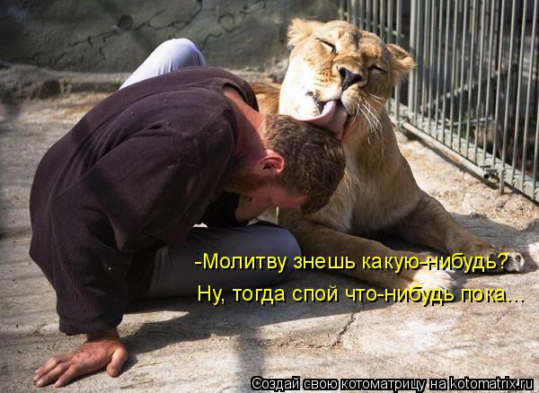 -Молитву знешь какую-нибудь? Ну, тогда спой что-нибудь пока...... Котоматрица: -Молитву знешь какую-нибудь? Ну, тогда спой что-нибудь пока...