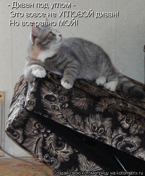 - Диван под углом - Это вовсе не УГЛОВОЙ диван! Но все равно МОЙ!... Котоматрица: - Диван под углом - Это вовсе не УГЛОВОЙ диван! Но все равно МОЙ!