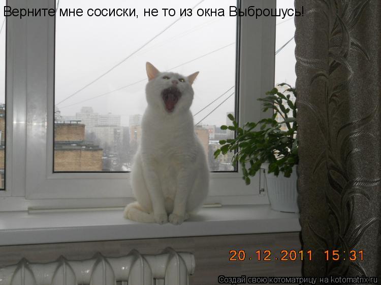 Верните мне сосиски, не то из окна Выброшусь!... Котоматрица: Верните мне сосиски, не то из окна Выброшусь!