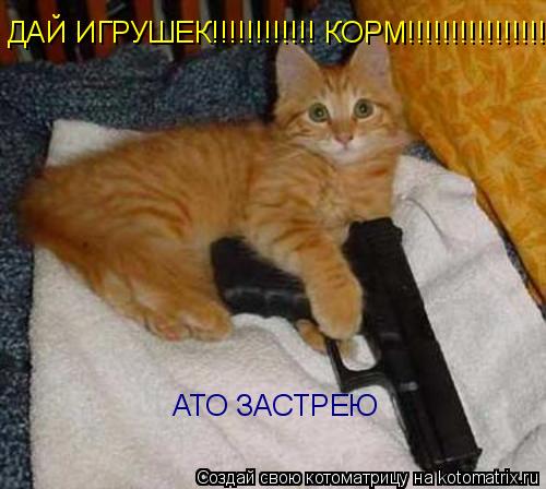 ДАЙ ИГРУШЕК!!!!!!!!!!!! КОРМ!!!!!!!!!!!!!!!!!!!! АТО ЗАСТРЕЮ... Котоматрица: ДАЙ ИГРУШЕК!!!!!!!!!!!! КОРМ!!!!!!!!!!!!!!!!!!!! АТО ЗАСТРЕЮ