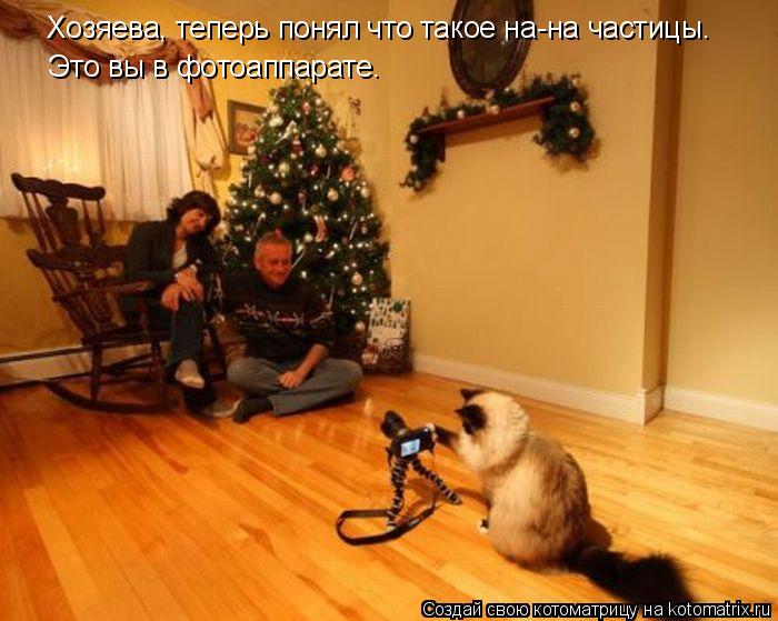 Хозяева, теперь понял что такое на-на частицы. Это вы в фотоаппарате.... Котоматрица: Хозяева, теперь понял что такое на-на частицы. Это вы в фотоаппарате.