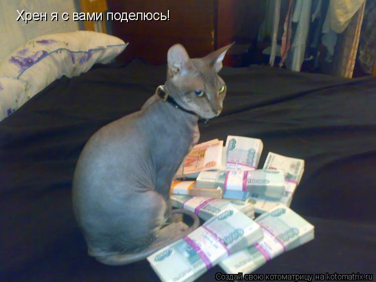 Хрен я с вами поделюсь!... Котоматрица: Хрен я с вами поделюсь!