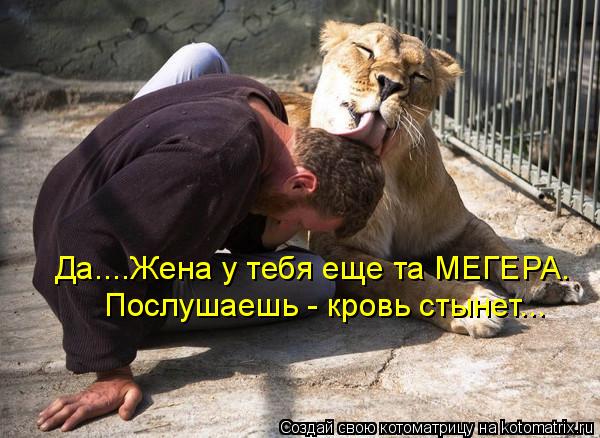Да....Жена у тебя еще та МЕГЕРА. Послушаешь - кровь стынет...... Котоматрица: Да....Жена у тебя еще та МЕГЕРА. Послушаешь - кровь стынет...