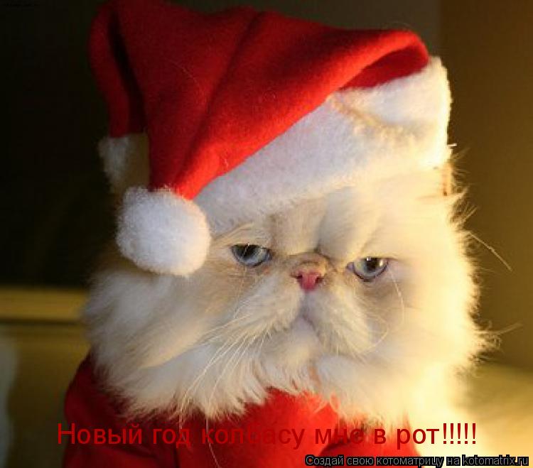 Котоматрица: Новый год колбасу мне в рот!!!!!