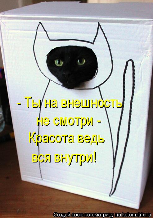 - Ты на внешность не смотри - Красота ведь вся внутри!... Котоматрица: - Ты на внешность не смотри - Красота ведь вся внутри!