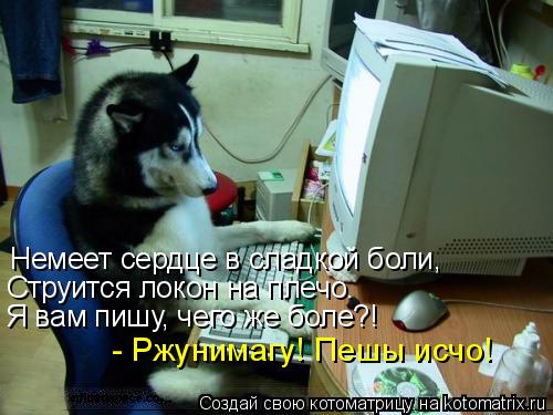 Котоматрица: Немеет сердце в сладкой боли, Струится локон на плечо. Я вам пишу, чего же боле?! - Ржунимагу! Пешы исчо!