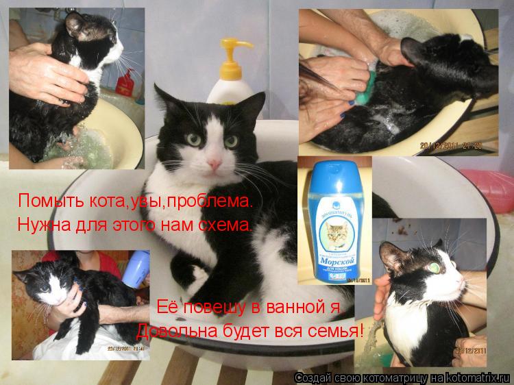 Котоматрица: Помыть кота,увы,проблема. Нужна для этого нам схема. Её повешу в ванной я. Довольна будет вся семья!