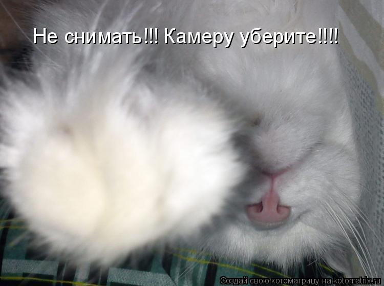 Котоматрица: Не снимать!!! Камеру уберите!!!!