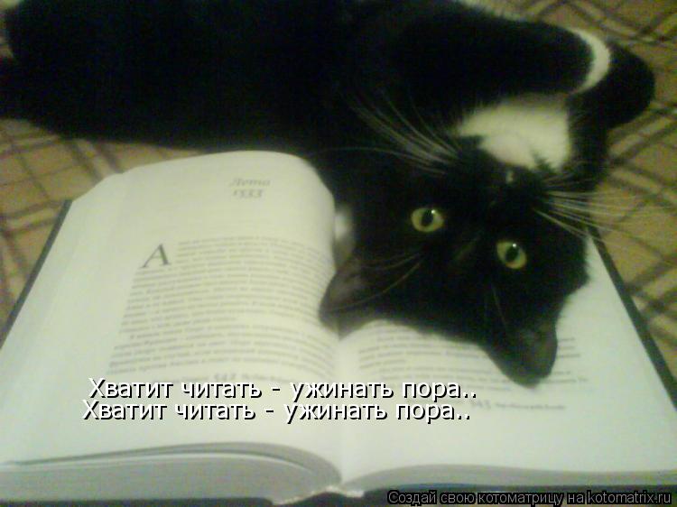 Котоматрица: Хватит читать - ужинать пора.. Хватит читать - ужинать пора..