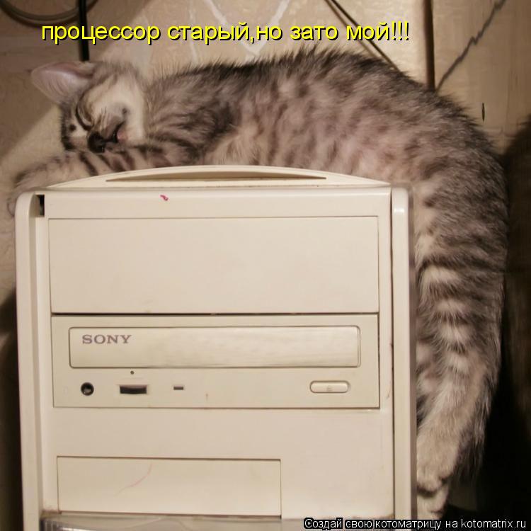 Котоматрица: процессор старый,но зато мой!!!